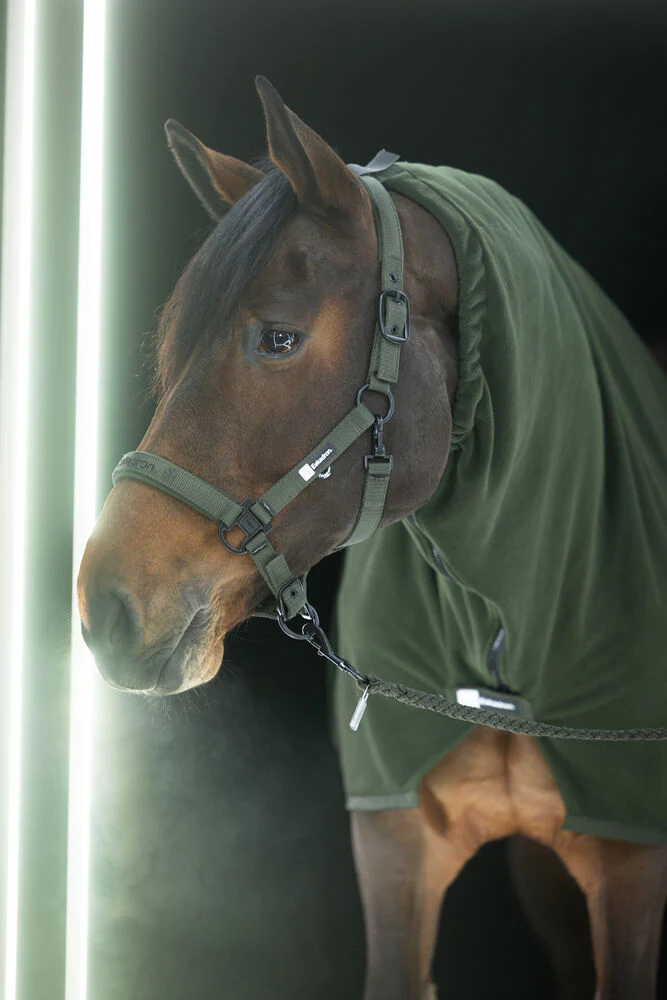 ESKADRON - Licol double pin buckle Dynamic kaki – Image 2