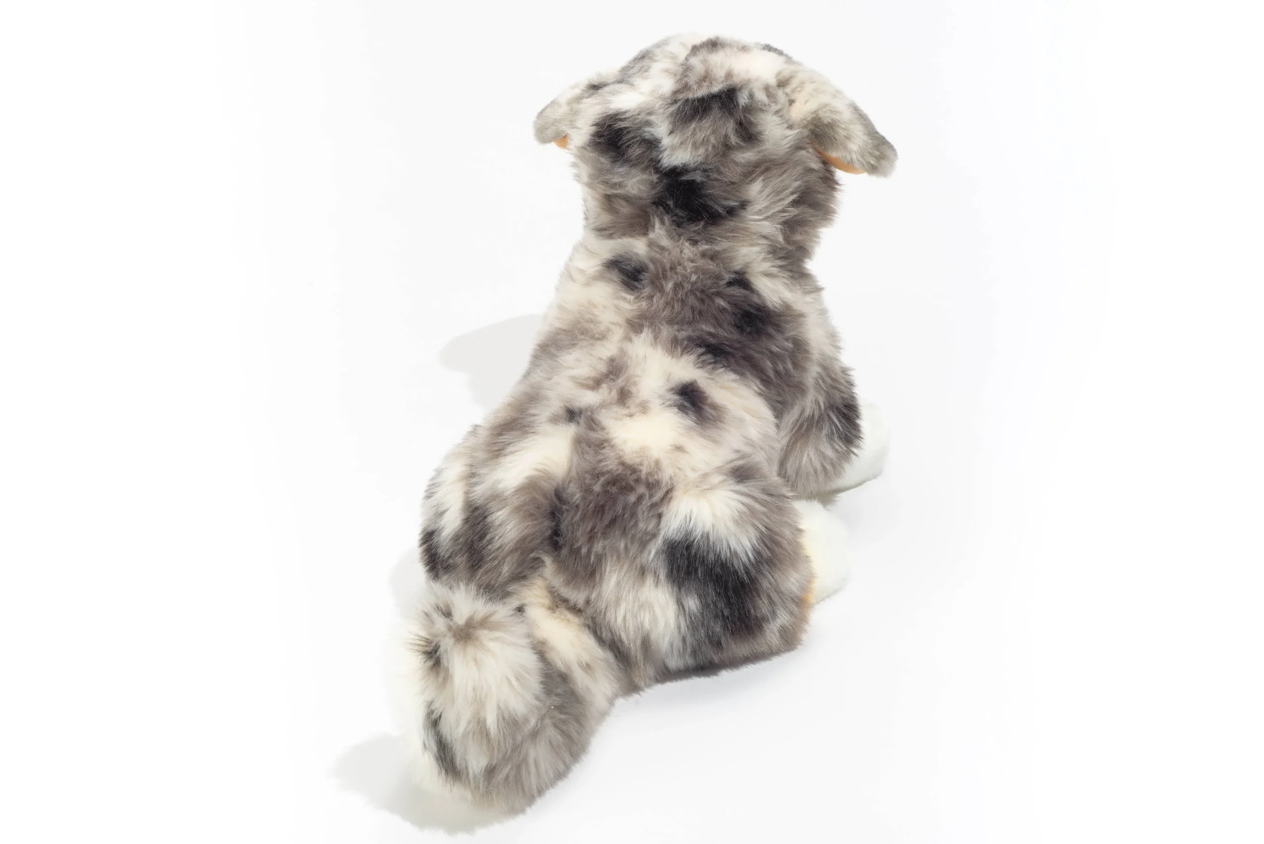 Peluche Berger australien – Image 5