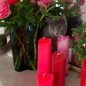 Bougie coeur