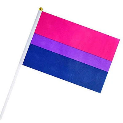 Petits Drapeaux Bisexuel (x10)