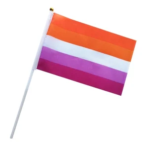 Petits Drapeaux Lesbienne (x5-10)