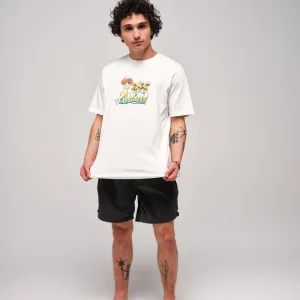 T-shirt coton - Mushroom - Blanc