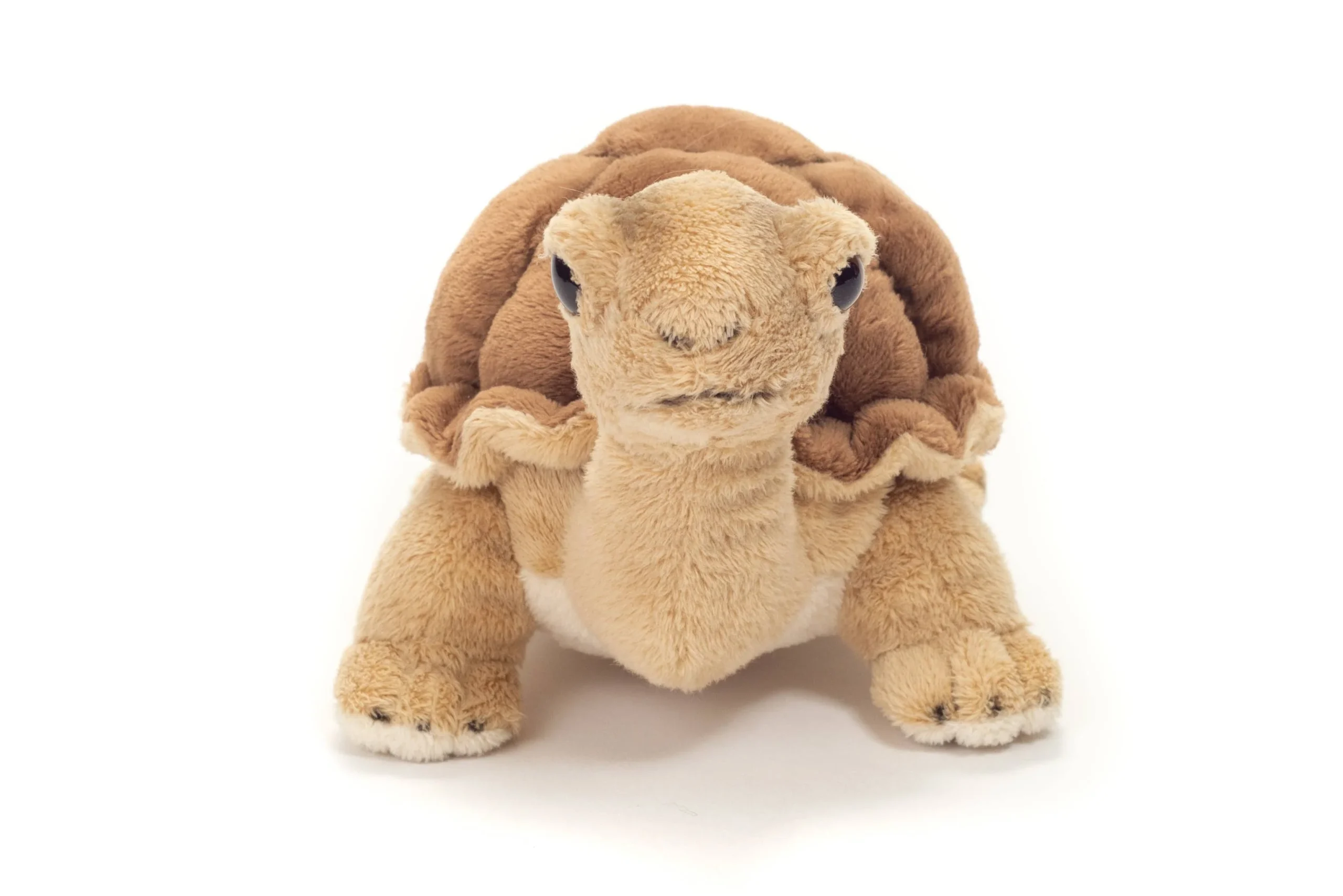 Peluche Tortue – Image 4