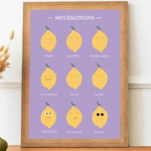 Affiche A3 | Les Emotions Citrons